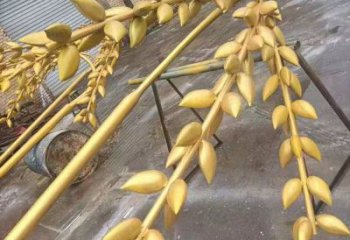 幾何青稞雕塑廠家 公園小品 大型鍍金不銹鋼青稞雕塑廠